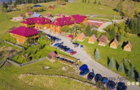 Hotels in Poiana Negrii